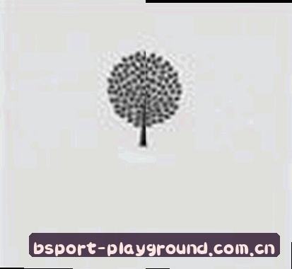 王鹏